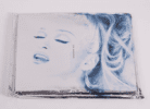 Madonna's Erotica, music video, silver sex book