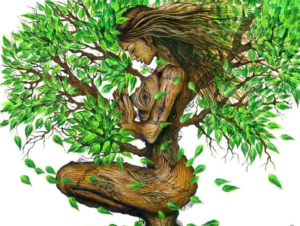 tantra tree of life, what is tantra, tantra branches, tantra fundamentals, fbsm